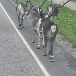 nordkap rundreise 2025_28